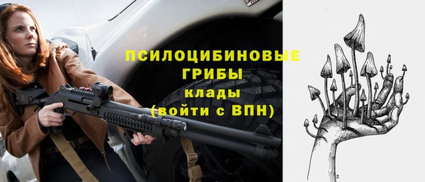 соль ск Абаза