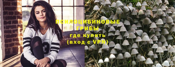 соль ск Абаза