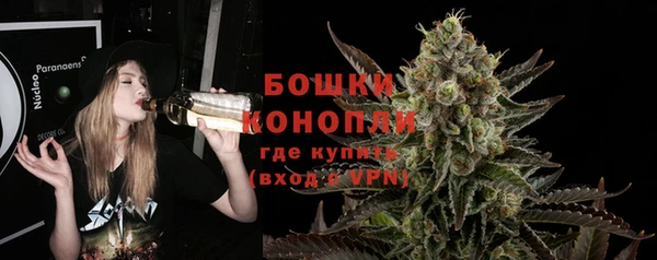 ПСИЛОЦИБИНОВЫЕ ГРИБЫ Заволжск