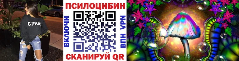 купить наркоту  Новомичуринск  Галлюциногенные грибы Psilocybine cubensis 
