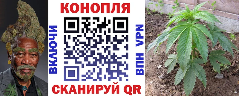 купить   Новомичуринск  МАРИХУАНА OG Kush 